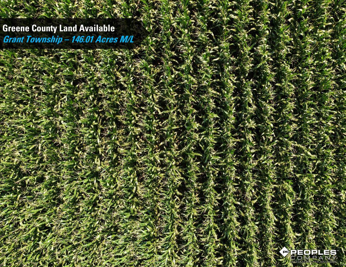 Listing Photo: Greene-County-Iowa-Farmland-Available-146-Acres-19686-Jefferson (4)